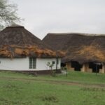 Thatch roofs twisted and torn